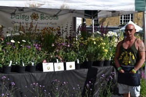 Steve from Daisy Roots with his RHS